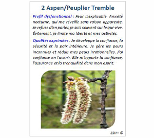 Fleurs de Bach IHS 2025