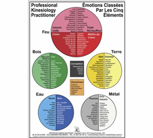 Poster Émotions dans les 5 éléments A3 29,7cmx42cm