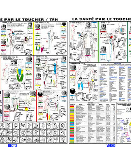 Poster La Santé Par le Toucher A3 29.7cmx42cm Portrait recto/verso
